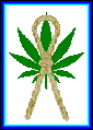 The Hemp Ribbon