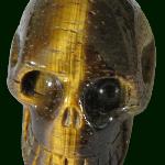 Tiger Eye Skull