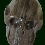 Petrified Wood Skull example